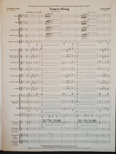 Load image into Gallery viewer, Tempest Rising David Shaffer