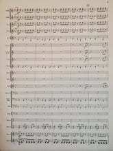 Load image into Gallery viewer, Tempest Rising David Shaffer