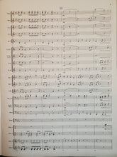 Load image into Gallery viewer, Tempest Rising David Shaffer