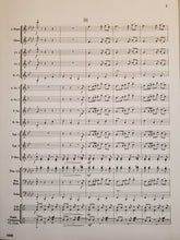 Load image into Gallery viewer, Escapada David Moore