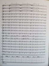 Load image into Gallery viewer, Donkey Riding Donald Coakley