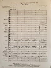 Load image into Gallery viewer, Tricycle Andrew Boysen Jr.