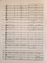 Load image into Gallery viewer, Tricycle Andrew Boysen Jr.