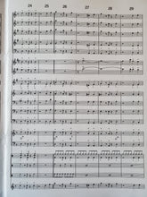 Load image into Gallery viewer, Samba Down Under Ed Wilson