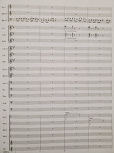 Load image into Gallery viewer, Alligator Alley Michael Daugherty