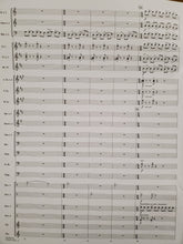 Load image into Gallery viewer, Alligator Alley Michael Daugherty