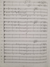 Load image into Gallery viewer, But for the Love of Ireland James Swearingen