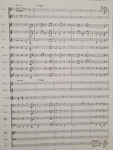 Load image into Gallery viewer, But for the Love of Ireland James Swearingen