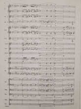 Load image into Gallery viewer, Aria: Without Words Clarence Barber