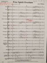 Load image into Gallery viewer, Free Spirit Overture Jerry Williams