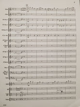 Load image into Gallery viewer, Free Spirit Overture Jerry Williams