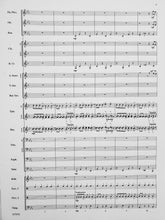 Load image into Gallery viewer, River Trail Expedition Robert Sheldon