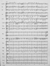 Load image into Gallery viewer, River Trail Expedition Robert Sheldon