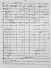 Load image into Gallery viewer, La Bonne Aventure Pierre La Plante