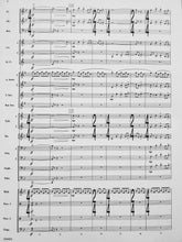 Load image into Gallery viewer, Metrix Robert Sheldon