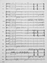 Load image into Gallery viewer, Metrix Robert Sheldon