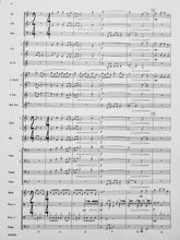 Load image into Gallery viewer, Metrix Robert Sheldon