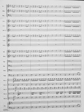 Load image into Gallery viewer, Rhythm Stand Jennifer Higdon