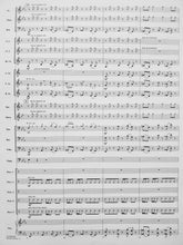 Load image into Gallery viewer, Rhythm Stand Jennifer Higdon