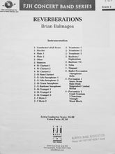 Load image into Gallery viewer, Reverberations Brian Balmages