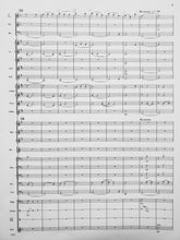 Load image into Gallery viewer, Silver Spring Soliloquy Robert Sheldon