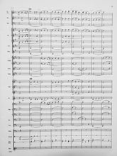 Load image into Gallery viewer, Silver Spring Soliloquy Robert Sheldon