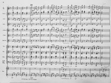 Load image into Gallery viewer, Gramercy Park N.H. Seward