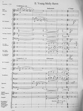 Load image into Gallery viewer, A Longford Legend Robert Sheldon