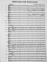 Load image into Gallery viewer, Serenade Derek Bourgeois