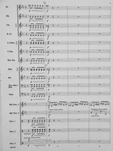 Load image into Gallery viewer, Flash! Brian Beck