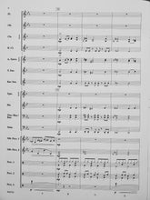 Load image into Gallery viewer, Flash! Brian Beck