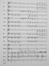 Load image into Gallery viewer, Flash! Brian Beck