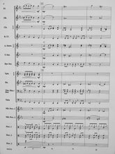 Load image into Gallery viewer, Flash! Brian Beck