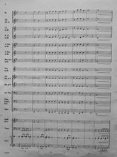 Load image into Gallery viewer, Fanfare Supernova Larry Clark