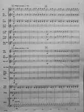 Load image into Gallery viewer, Fanfare Supernova Larry Clark