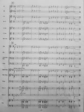 Load image into Gallery viewer, Navarro Robert W. Smith