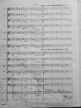 Load image into Gallery viewer, Serengeti Dreams Robert W. Smith