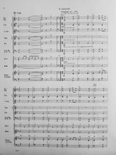 Load image into Gallery viewer, Renaissance Dances Tielman Susato arr. Mark Williams