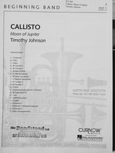 Load image into Gallery viewer, Callisto: Moon of Jupiter Timothy Johnson