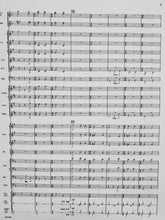 Load image into Gallery viewer, Fa Una Canzona Larry Daehn