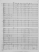 Load image into Gallery viewer, Fa Una Canzona Larry Daehn