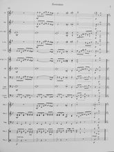 Load image into Gallery viewer, Zooveniers Randall D. Standridge