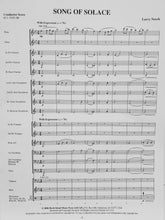 Load image into Gallery viewer, Song of Solace Larry Neeck