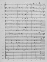 Load image into Gallery viewer, Song of Solace Larry Neeck