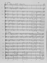 Load image into Gallery viewer, Song of Solace Larry Neeck