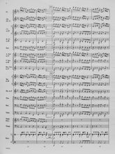 Load image into Gallery viewer, Crystal Moon Larry Clark