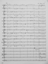 Load image into Gallery viewer, Chant and Tribal Dance David Shaffer