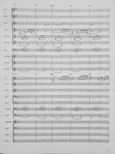 Load image into Gallery viewer, Blue Ridge Autumn James L. Hosay