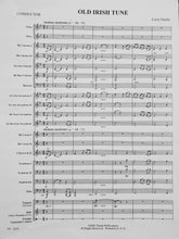Load image into Gallery viewer, Old Irish Tune Larry Daehn