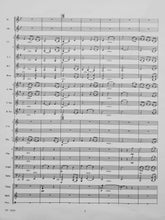 Load image into Gallery viewer, Old Irish Tune Larry Daehn